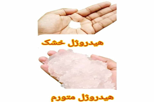 تصویر 2 از سوپر جاذب هوشمند راهکار نوین آبیاری با قیمت فروش استثنایی
